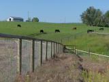 Patchwork of Pastures