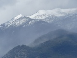 Foggy Forest Mountain