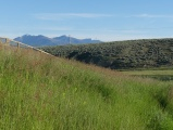 Grasses, Hills, and Mountains