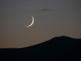 August Crescent Moon