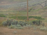 Western Rural Landscape