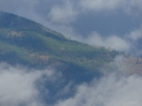 Forested Slopes in the Clouds