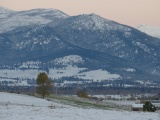 Snow on Green Pastures