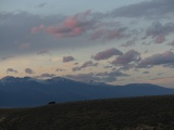 Flock of Clouds