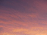 Luminous Pink Clouds