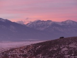 Pink Landscape