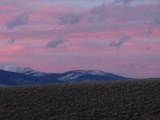 Pink Predawn Sky