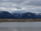 Icy Pond