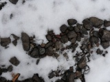 Rocks in the Snow