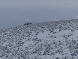 Frosted Hillside