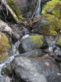 Rippling Waters over Rocks and Moss