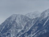 Snow Traceries