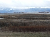 Mountains and Marsh in March