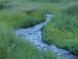 Stream at Dusk