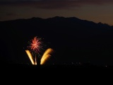 Fireworks Flower