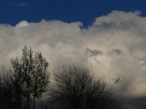 Silhouettes and Clouds