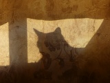 Shadow Cat