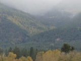 Slopes in Autumn Fog