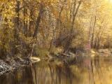 Lolo Creek in Autumn