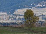 Across the Valley in Autumn