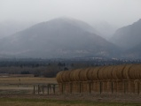 Hay on a Misty Morning