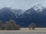 White Capped Indigo Mountains