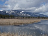 Maze of Reeds and Water