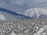 Bluish Mountains and Sagebrush