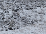 Winter Bench of Solitude