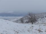 Rolling Landscape in Winter