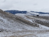 Rolling Fields in Winter