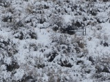 Bench of Solitude in the Snow