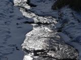 Sun Reflections in a Stream