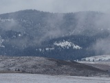 February Fog