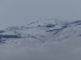 Afternoon Fog in the Mountains