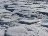 Frozen Slabs