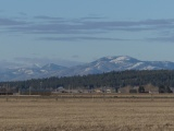 Valley in March