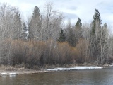 Riverbank at End of Winter