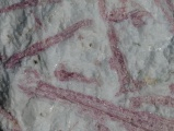 Rubellite in White Matrix