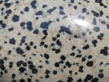 Dalmatian Jasper Detail