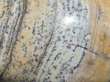 Dendritic Opal Detail