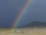 Raindrops in the Rainbow