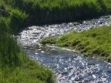 A Bend in the Stream in Springtime