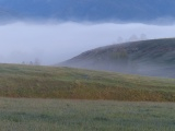 Morning Light, Morning Fog