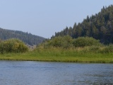 Along Big Hole River