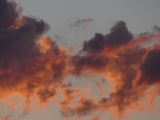 Curly Pink Clouds