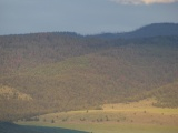 Evening Sun on Forested Hills