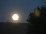 Moonrise at Dusk