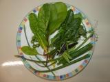 Plate of Greens