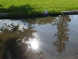 Reflections in a Parking Lot